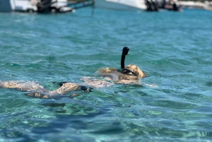 Hilo: Snorkling med havskilpadder