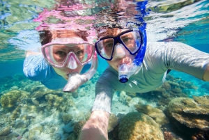 Hilo: Snorkeling with Turtles and Free videos