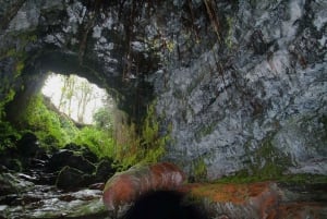 Hilo : safari volcanique avec prise en charge