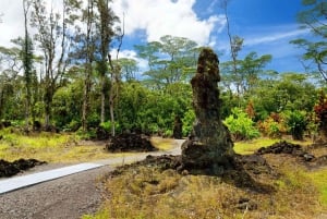 Hilo : safari volcanique avec prise en charge