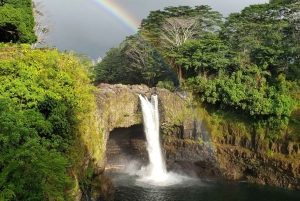 Hilo: Parco Nazionale dei Vulcani e tour privato di Hilo