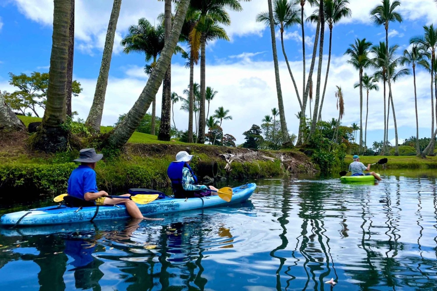 Hilo: tour guidato in kayak dal fiume Wailoa al re Kamehameha