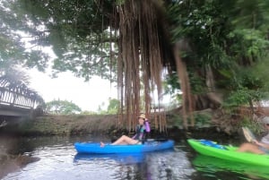 Hilo: tour guidato in kayak dal fiume Wailoa al re Kamehameha