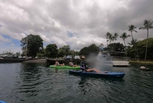 Hilo: Wailoa River naar King Kamehameha begeleide kajaktocht