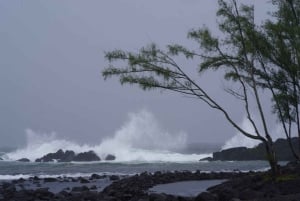 Hilo: Recorrido a pie por los fantasmas