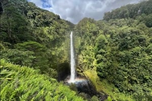 Wanderung zum Hilo-Wasserfall und Schwimmen mit hawaiianischen Ureinwohnern