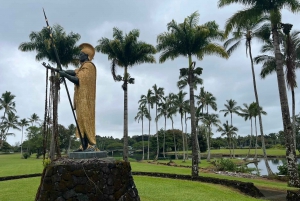 Wanderung zum Hilo-Wasserfall und Schwimmen mit hawaiianischen Ureinwohnern