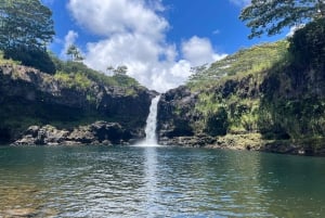 Hilo: Wasserfall-Wanderung und Schwimmen mit hawaiianischen Ureinwohnern