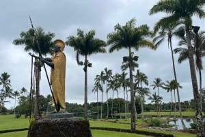 Hilo: Wasserfall-Wanderung und Schwimmen mit hawaiianischen Ureinwohnern