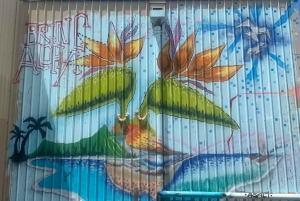 Historical Honolulu Bike Tour