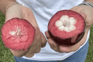 Honalo: Provsmakning av exotiska frukter