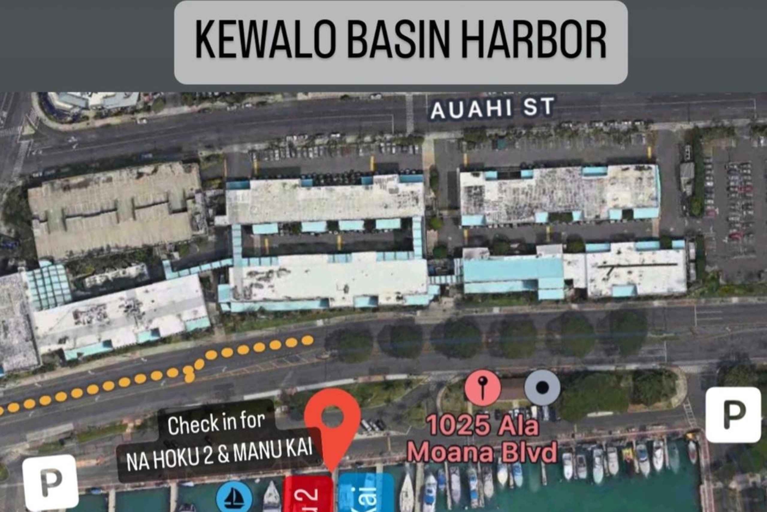 Honolulu: 1-tunnin perjantai-illan ilotulitusristeily juomineen.