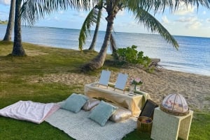 ホノルル：人里離れたビーチサイドで楽しむ贅沢なピクニックと絵画体験