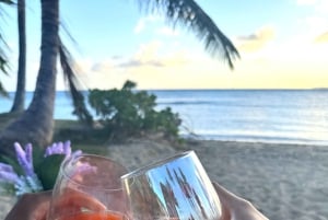 ホノルル：人里離れたビーチサイドで楽しむ贅沢なピクニックと絵画体験