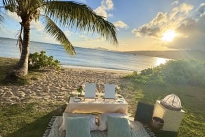 ホノルル：人里離れたビーチサイドで楽しむ贅沢なピクニックと絵画体験