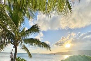 ホノルル：人里離れたビーチサイドで楽しむ贅沢なピクニックと絵画体験