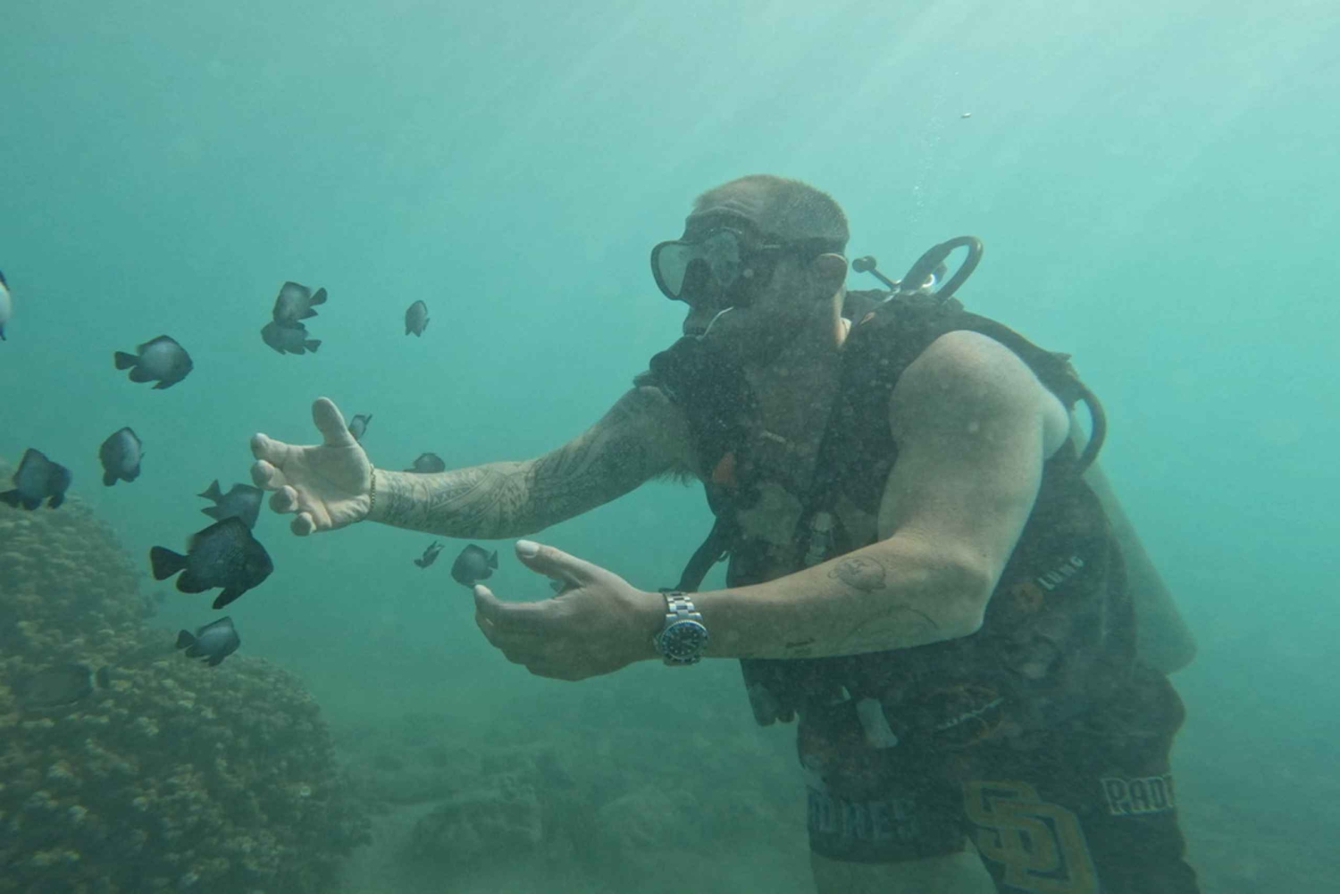 Honolulu: Begynderdykkertur med gratis videoer