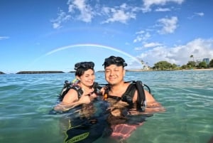 Honolulu: Excursão de mergulho para iniciantes com vídeos gratuitos