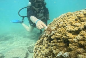 Honolulu: Beginner Scuba Diving Tour met gratis video's