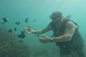 Honolulu: Excursión de buceo para principiantes con vídeos gratuitos