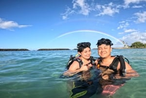 Honolulu: Begynderdykkertur med gratis videoer