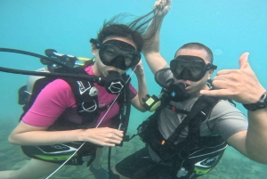 Honolulu: Begynderdykkertur med gratis videoer