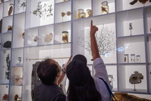 Honolulu: Bishop Museum General Admission Ticket