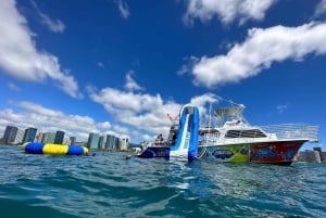 Honolulu: Deluxe Waikiki snorkle- og dyrelivscruise