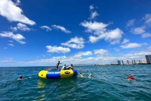 Honolulu: Deluxe Waikiki snorkle- og dyrelivscruise