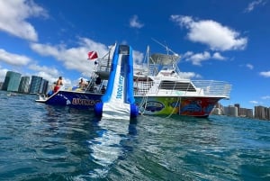 Honolulu: Deluxe Waikiki snorkle- og dyrelivscruise