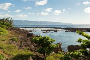 Honolulu : Visite en Segway Diamond Head