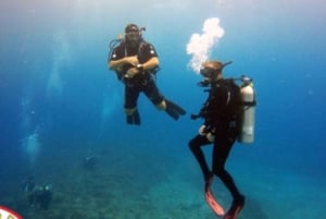 Honolulu: scopri le immersioni subacquee con l'attrezzatura