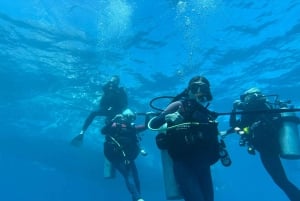 Honolulu: scopri le immersioni subacquee con l'attrezzatura