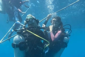 Honolulu: scopri le immersioni subacquee con l'attrezzatura