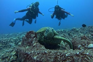 Honolulu: scopri le immersioni subacquee con l'attrezzatura