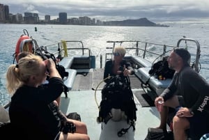 Honolulu: scopri le immersioni subacquee con l'attrezzatura