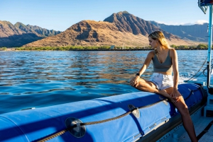 Oahu: Speedboat Dolphin Swim Adventure with Snorkeling