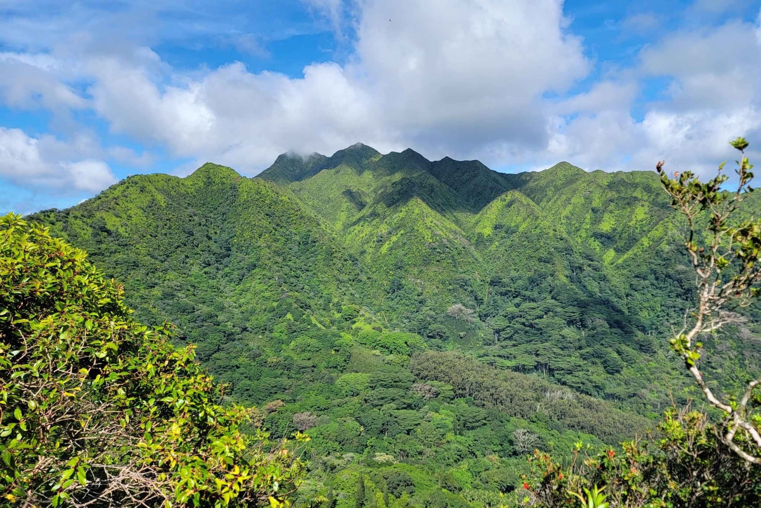 Honolulu: Vandring i Hawaiis vulkanske regnskov