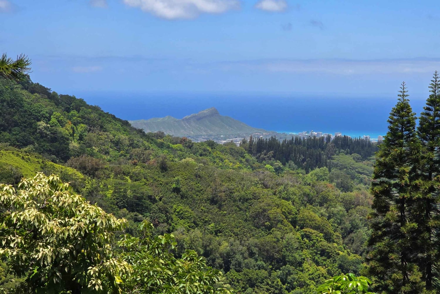 Honolulu: Vandring i Hawaiis vulkanske regnskov
