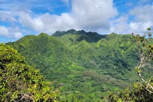 Honolulu: Vandring i Hawaiis vulkanske regnskov