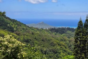 Honolulu: Vandring i Hawaiis vulkanske regnskov