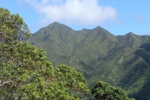 Honolulu: Vandring i Hawaiis vulkanske regnskov