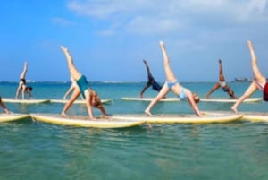Honolulu : Cours d'initiation au Stand-Up Paddling