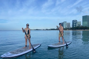 Honolulu: Intro to Stand-Up Paddling Class