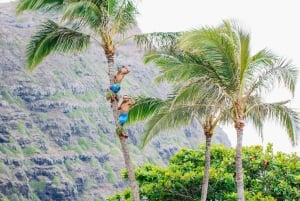 Honolulu: Cena y espectáculo Ka Moana Luau con transporte incluido.