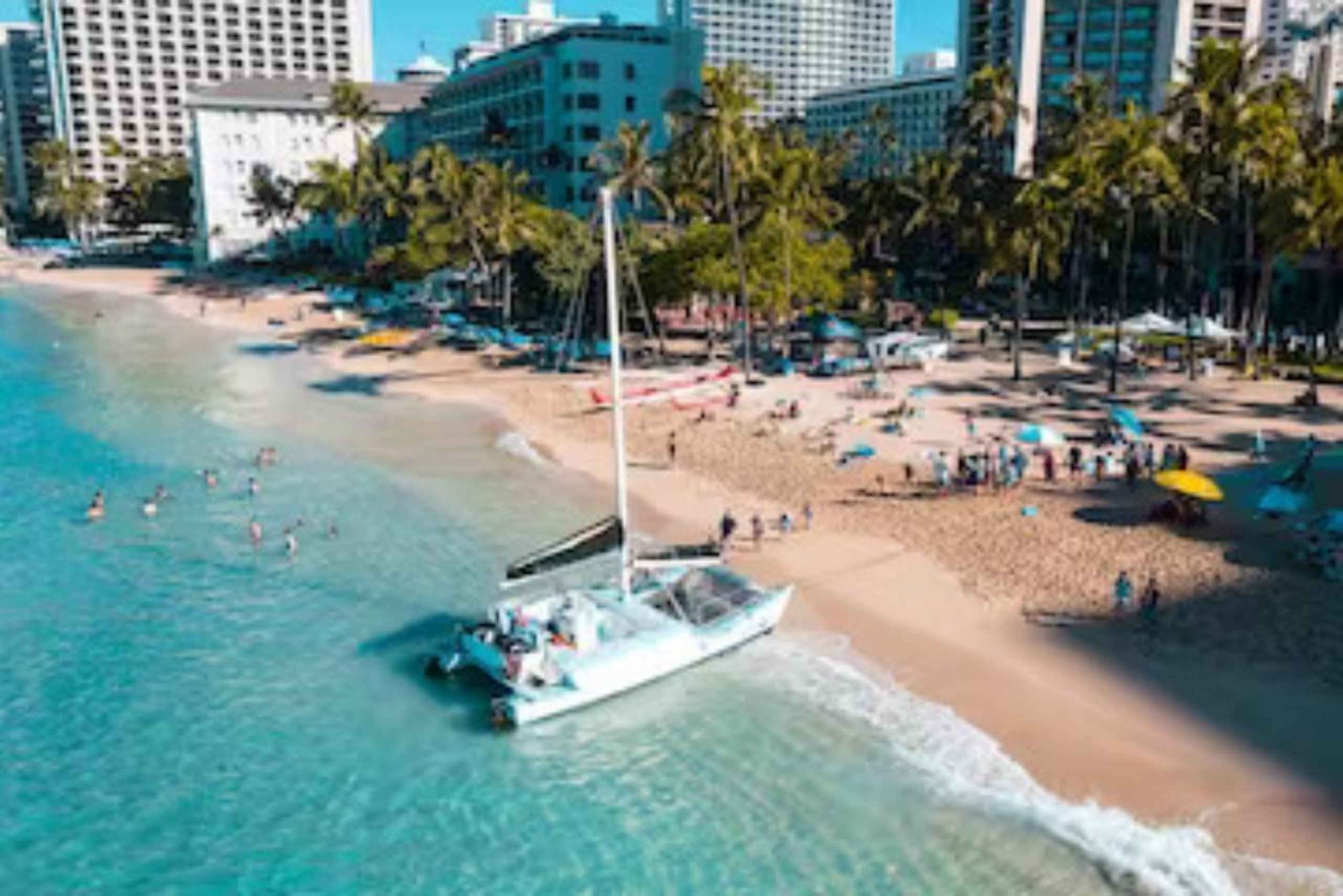 Honolulu: Passeio de barco pela vida marinha em um catamarã fretado em Waikiki