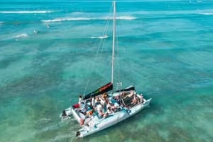 Honolulu: Tour in barca con vita marina su catamarano a Waikiki