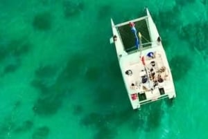 Honolulu: Passeio de barco pela vida marinha em um catamarã fretado em Waikiki