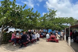 Honolulu: Excursión guiada en autobús de día completo por la isla de Oahu con almuerzo