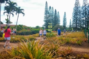 Honolulu: Tour guidato di un giorno intero dell'isola di Oahu in autobus con pranzo